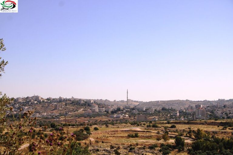 سلواد لبؤة الجبال...الحلقة 1/ بقلم وعدسة: زياد جيوسي 77 1 زياد جيوشي سلواد لبؤة الجبال سلواد لبؤة الجبال...الحلقة 1/ بقلم وعدسة: زياد جيوسي