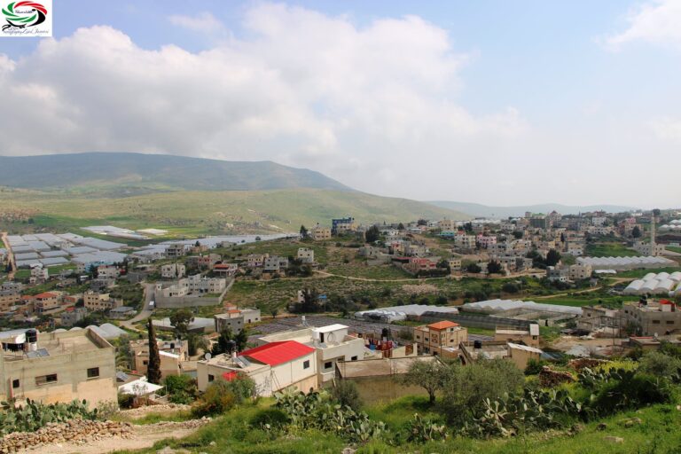 1 بين ألق طمون وربيع عاطوف زياد جيوسي بين ألق طمون وربيع عاطوف/ بقلم وعدسة: زياد جيوسي