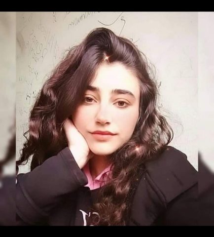 وطناً بعاطفة خاطئة/ بقلم: غزل حاتم
